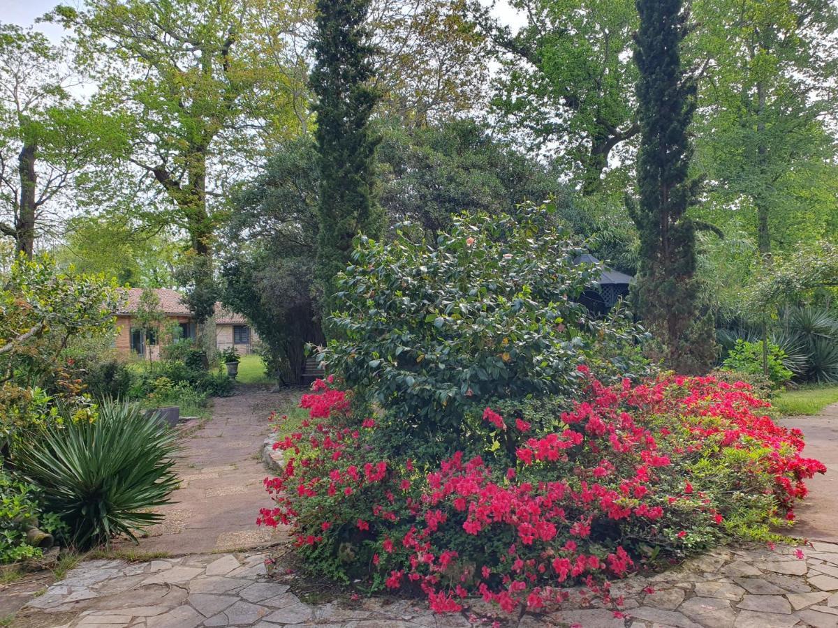 Manoir De Tireveste Lesperon  Экстерьер фото